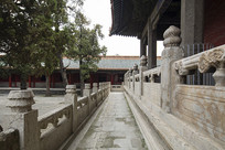 ����������ɵ����