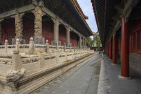 ����������ɵ�ֲ�