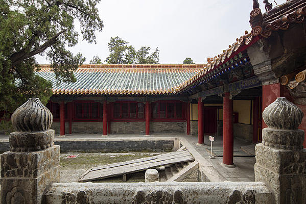 ���������Ž���