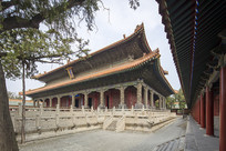 ɽ������������ɵ�