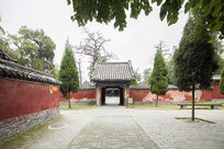 ɽ��������������