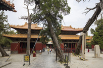 ɽ����������ʮ����ͤ