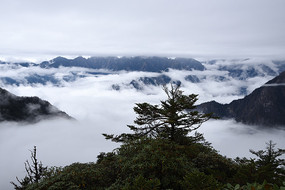 ����ţƺ���ڹ����ƺ�