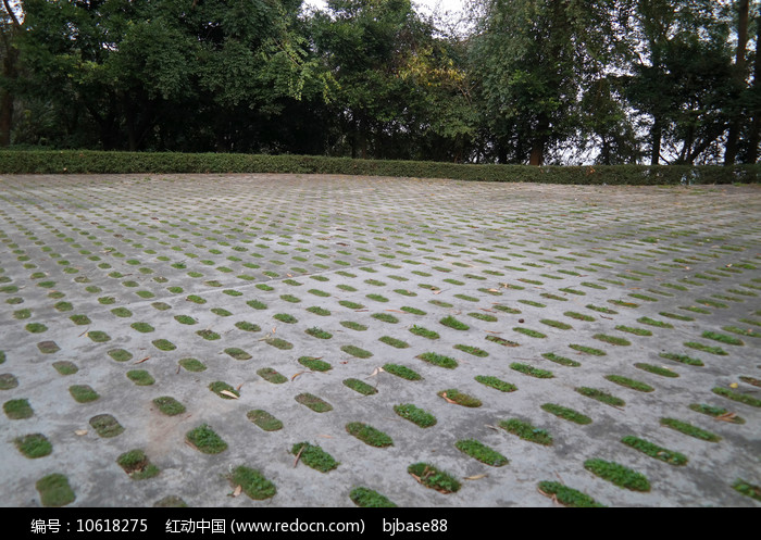 混凝土植草磚停車場