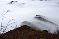 �������ڹ����������е�ɽ��