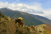 �Ĺ���ɽ���ؾ����Ի������