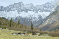 �Ĺ���ɽ˫�Ź�ѩɽ������ͥԺ