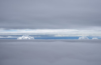 ����ƺ��Ʋ���һ����