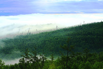 ���˰���ɽ�����ֳ��� 