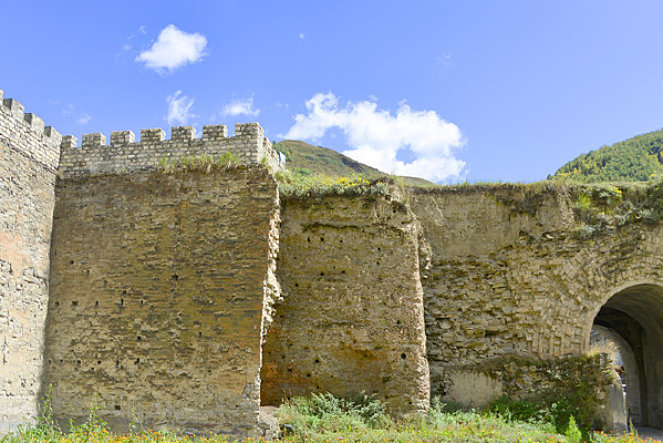 �Ĵ����˹ų���޹���ͳ��ż�