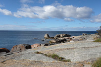 ������ʯ