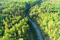 ���˰��������ֺ���· 