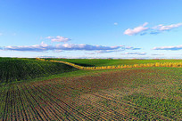 ũ��������ﾰ