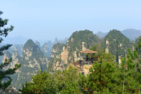 ��ҽ��첨����ǽ