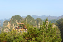 ��ҽ��첨����Ȼ���Ƿ�ǽ