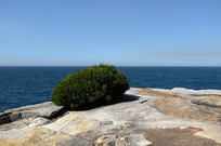 Ϥ��Ƕ��շ羰���ṹͼ