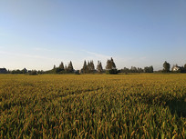 ���⵾���˼�