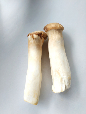 ����Ģ��