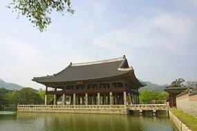 ������224�Ź������¥