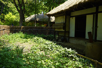 �������״�ũ�Ҳ�԰