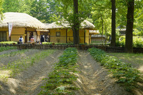 �������״���ֲ��ũ����