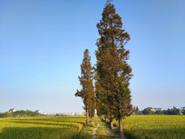 ������·