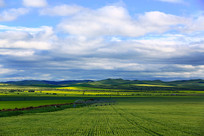 ����������������Ұ 