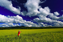 ����������԰��� 