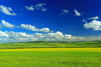 ������Ұ�Ͳ˻��� 