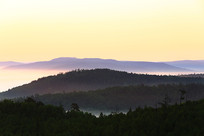 �����ֺ�����