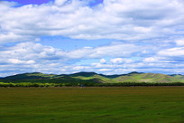 ������ɫ��Ұ