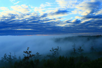 �λ�ɭ���ƺ�