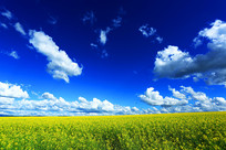 ũ���Ͳ˻��羰