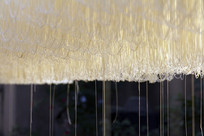 �ֹ�����