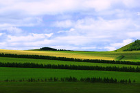 ��Ұ���������