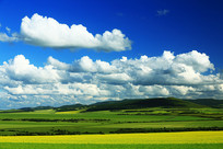 ��Ұ�Ͳ˻���