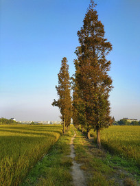 ��·����