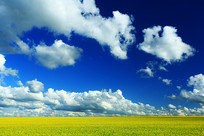 �Ͳ˻�����԰��� 