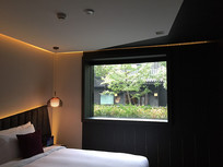 ����VUE�����ھ�