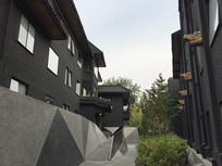 ����VUE����ͥԺ