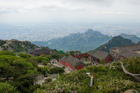 ̩ɽ��ʶ��Ž���Ⱥ