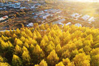 ���˰����＾�ֳ�ɽ��