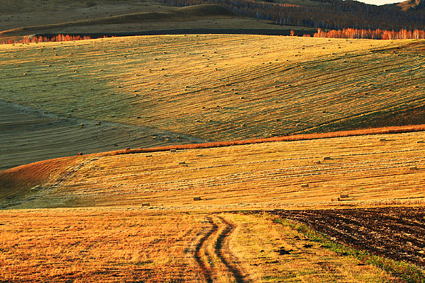 ���������＾��Ұ���� 