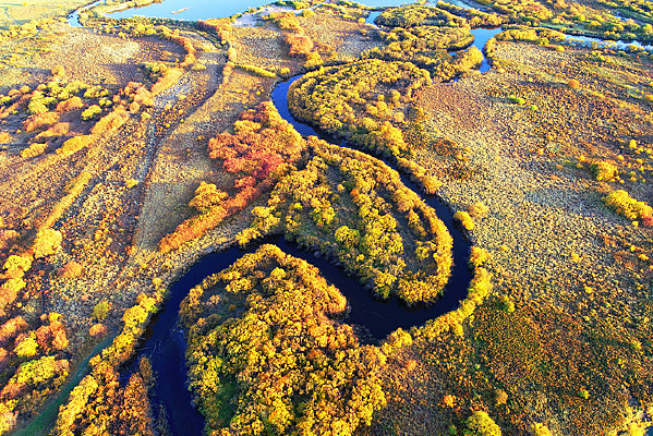 ���ĺ��������