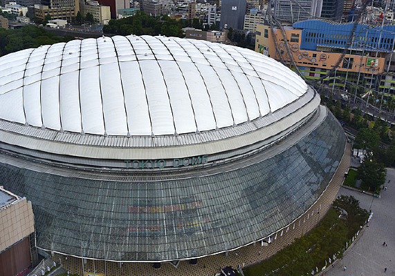 �޵�������