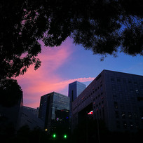 ��ϼ�ɻ���