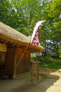 ʱ崫ͳݷ