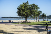 �麣��¯��ɳ̲