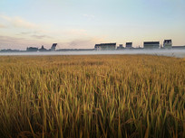 ����ũ�ﵾ��