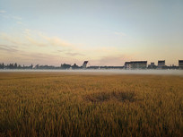 �����峿�����˼�